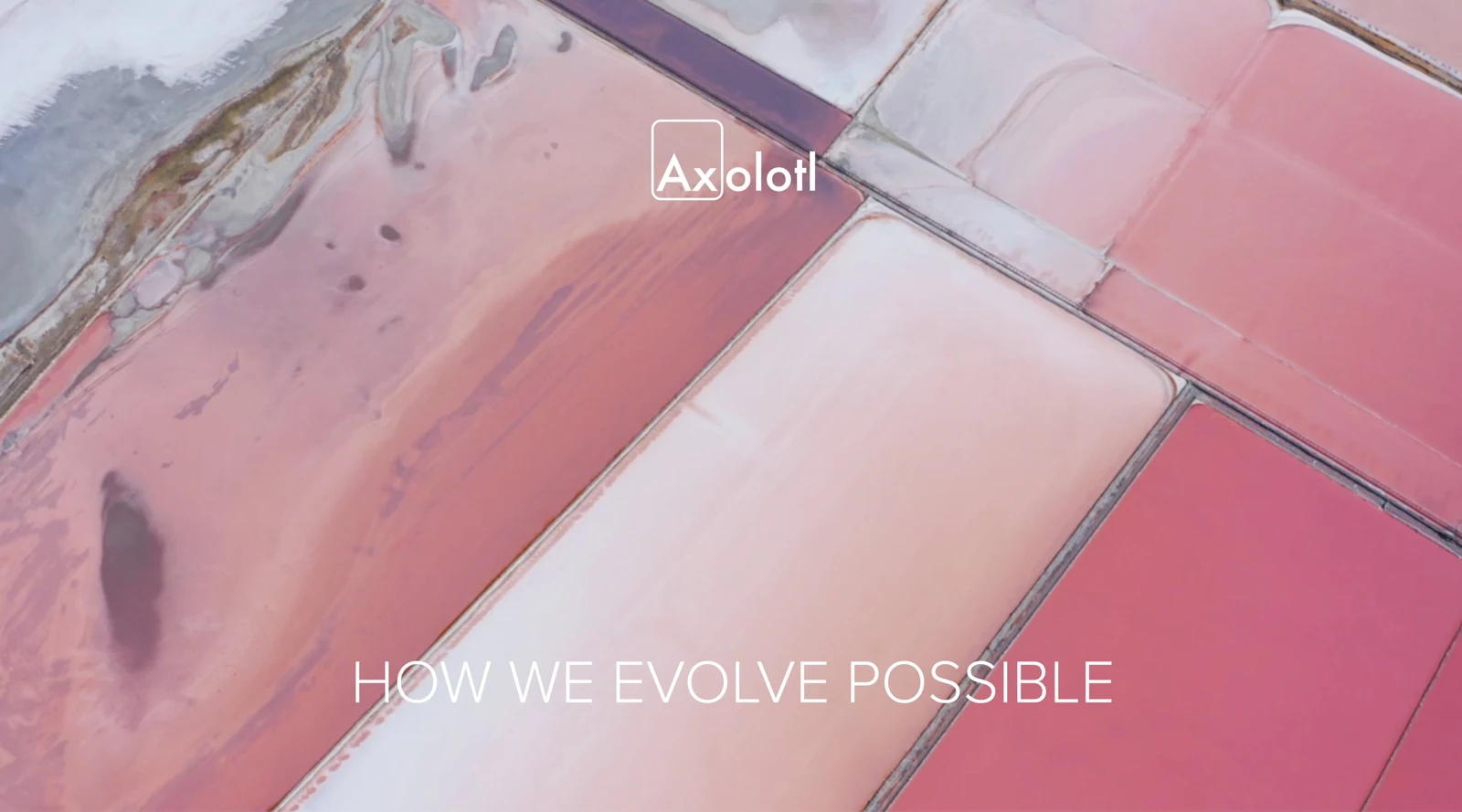 How we evolve possible