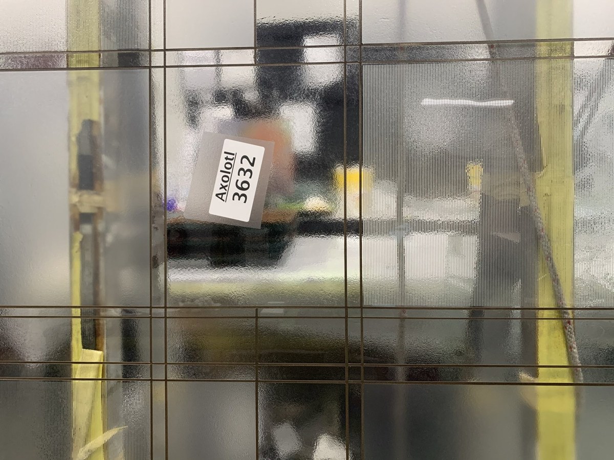 Grid Glass in Development