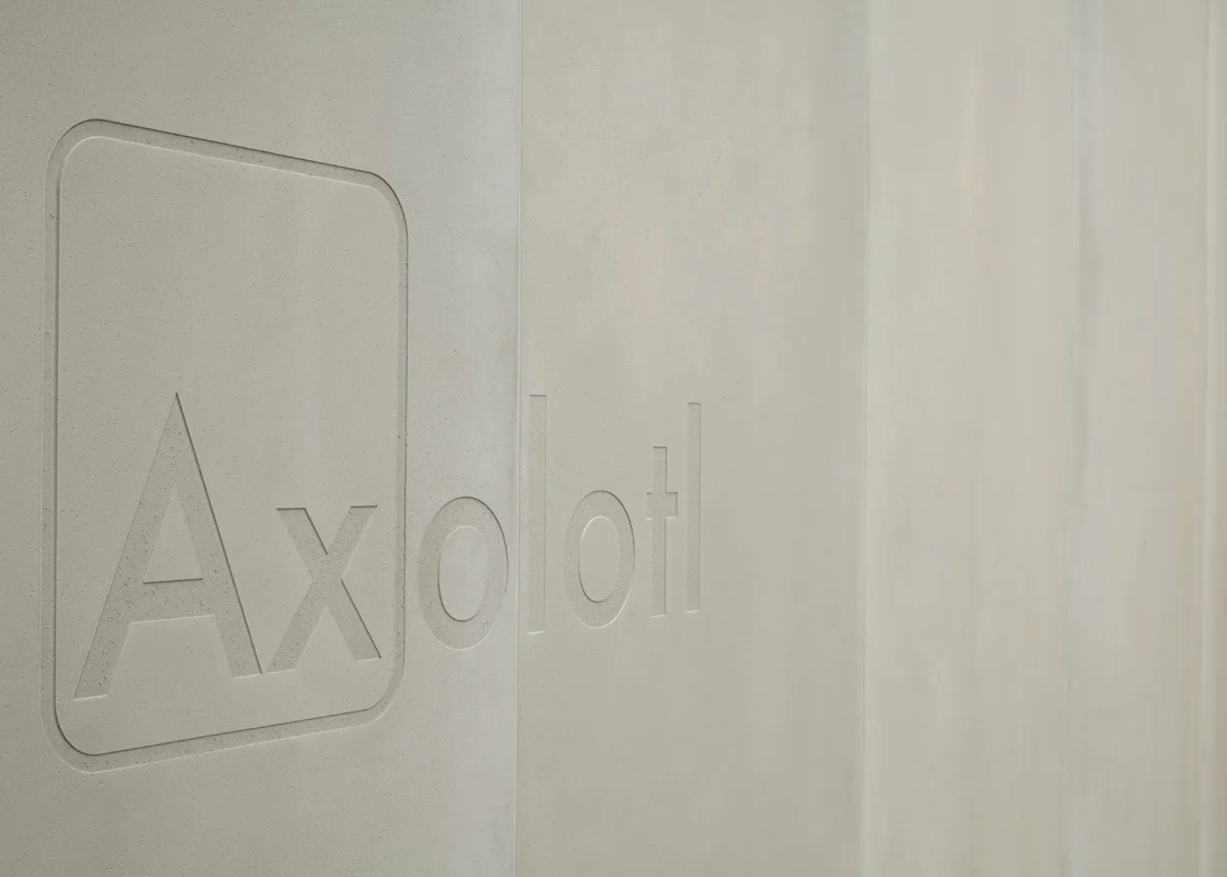 Axolotl_Designex2012_004.jpg