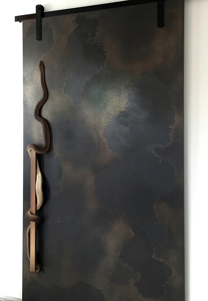 Bronze Graphite Viper entry door — Bronze Graphite · Viper