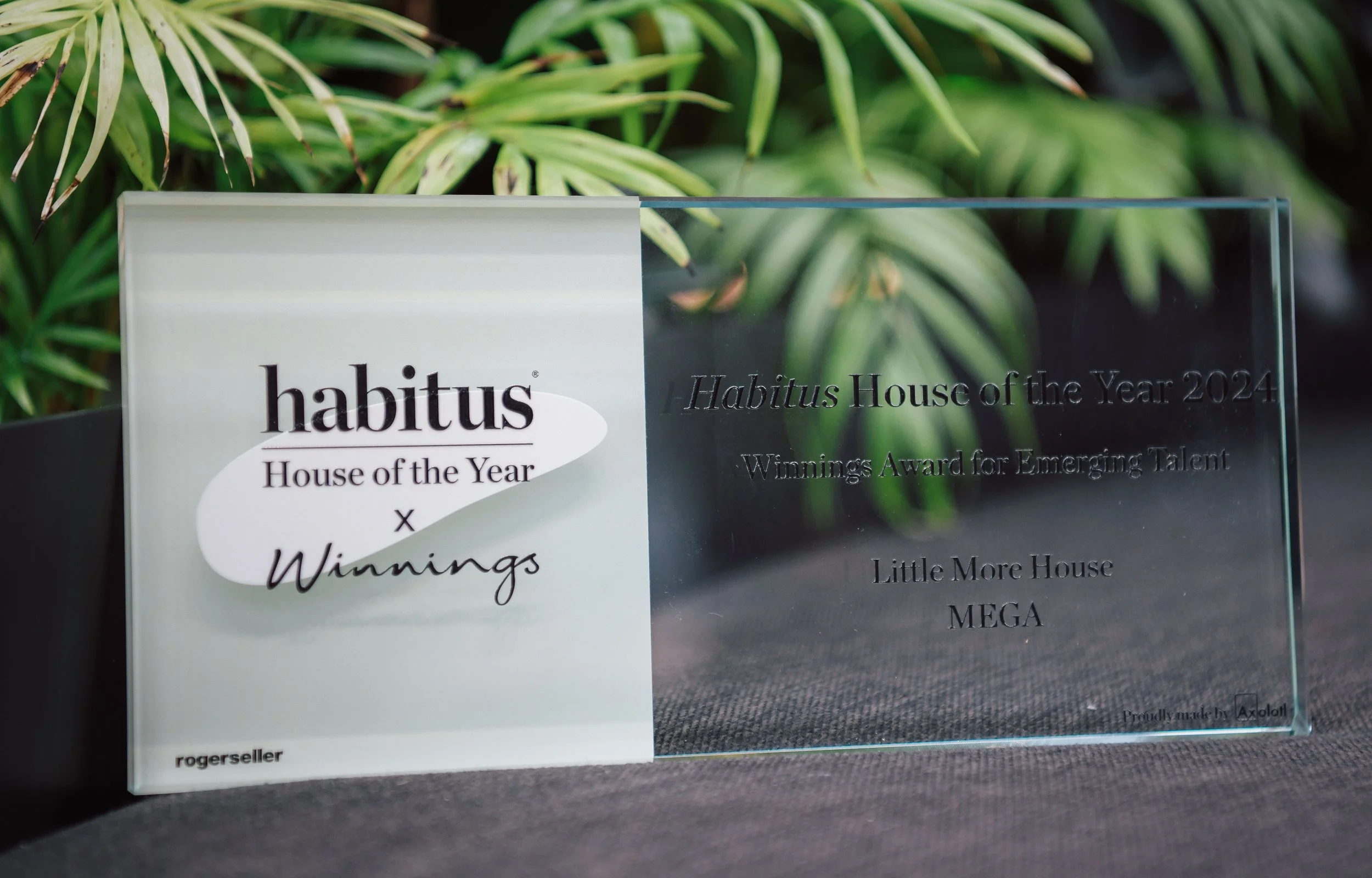 Habitus HOTY53