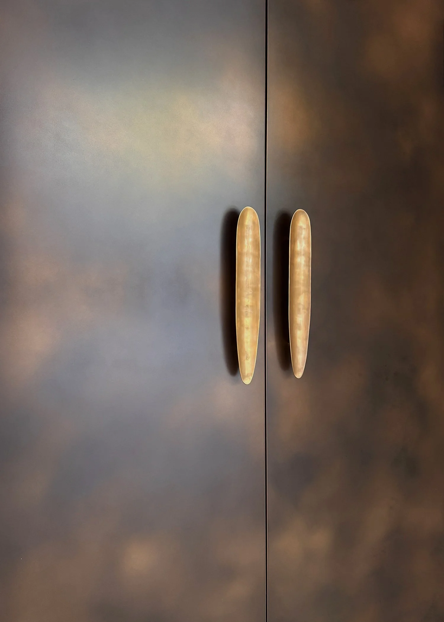 Fortis · Double Bay entry door — Bronze Smooth Black Florentine Cutback