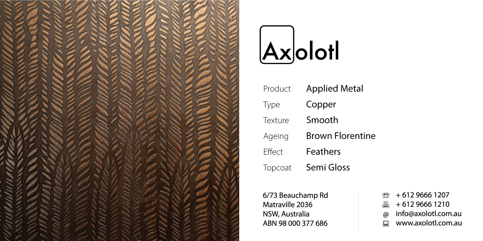 Copper — Brown Florentine Feathers