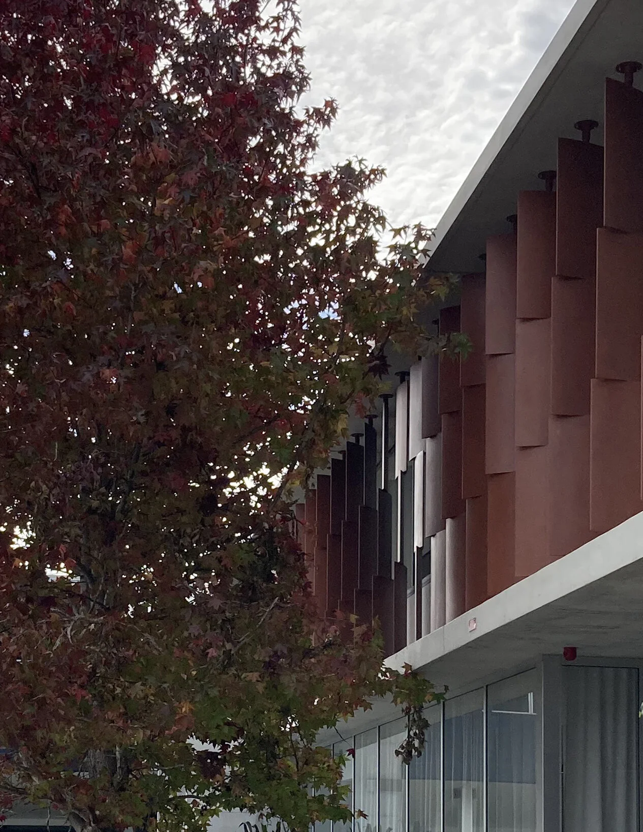 Terracotta Custom Louvres Aquinas College