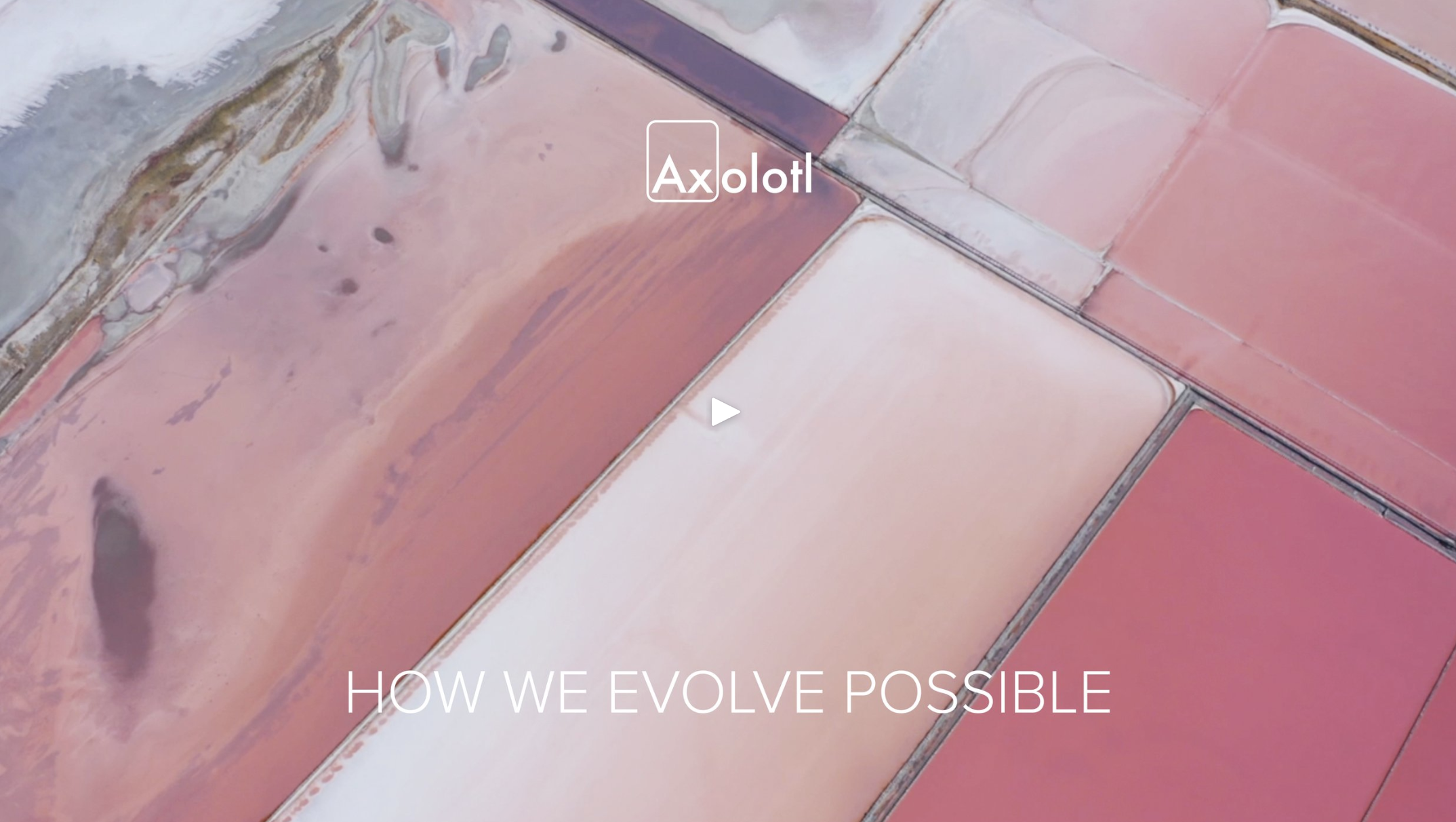 How We Evolve Possible